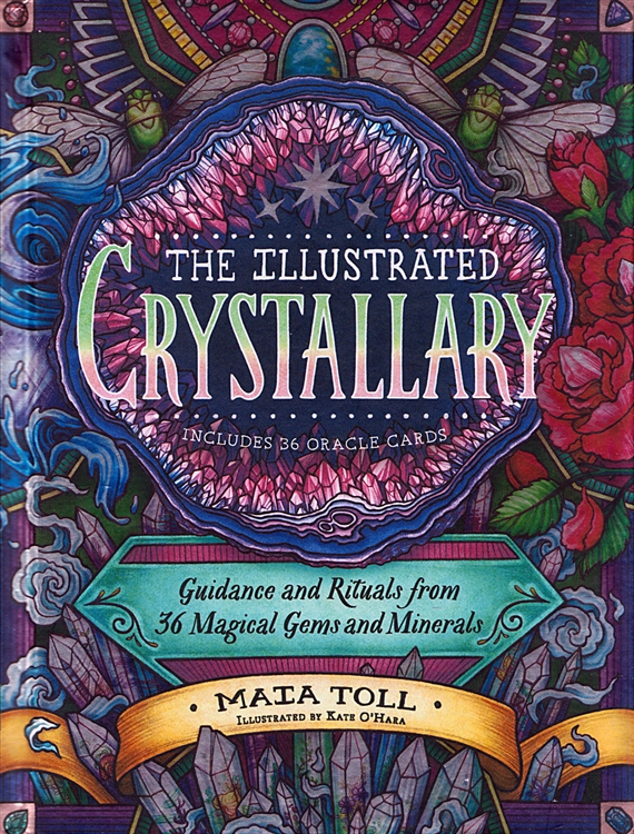 Dr-Tumbletys-Apothecary-Pittsburgh-the-illustrated-crystallary-maia-toll-500x500