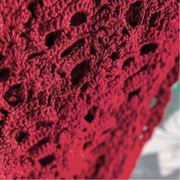 Dr-Tumbletys-Apothecary-Time-Inspired-Specialty-Shop-Pittsburgh-Skull-Shawl-Brown-red-burgundy-crimson-03